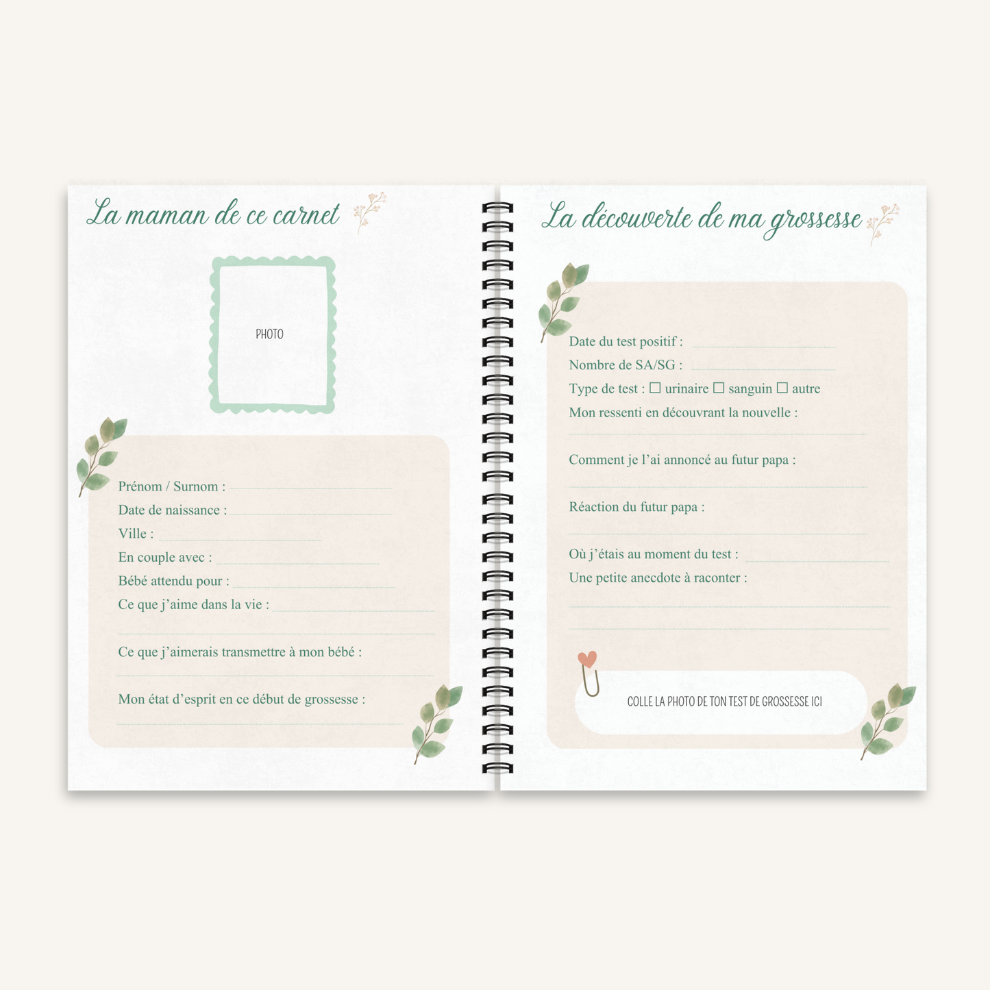 Journal de Grossesse Premium