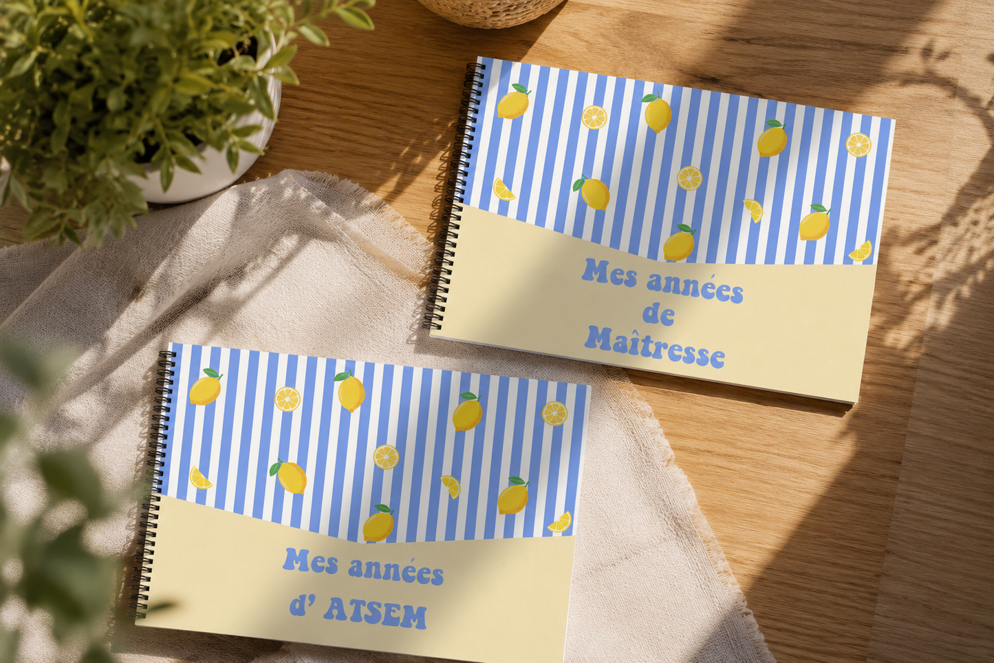 Album souvenirs de Maîtresse / ATSEM - Jusqu'à 30 année de classe (Copie)